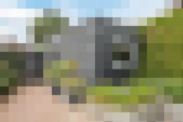 Wilhelminalaan 4 D Veghel thumbnail 28