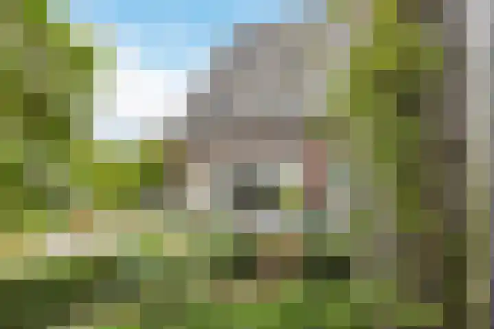 Wilhelminalaan 4 D Veghel thumbnail 30