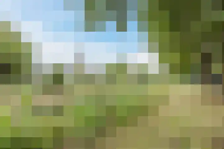 Wilhelminalaan 4 D Veghel thumbnail 35