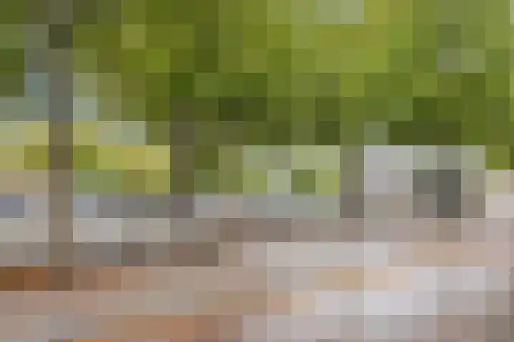 Wilhelminalaan 4 D Veghel thumbnail 36