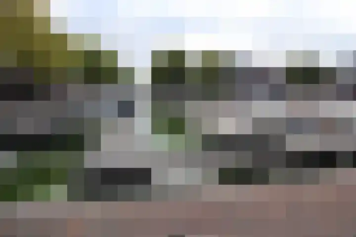 Wilhelminalaan 4 D Veghel thumbnail 37