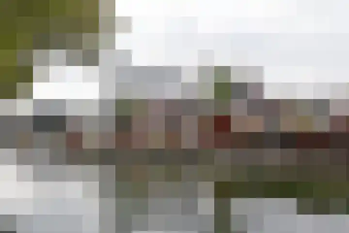 Wilhelminalaan 4 D Veghel thumbnail 38