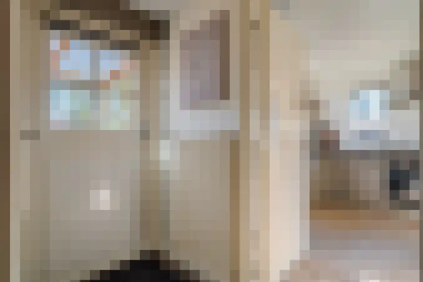 Wilhelminalaan 4 Scheemda thumbnail 24