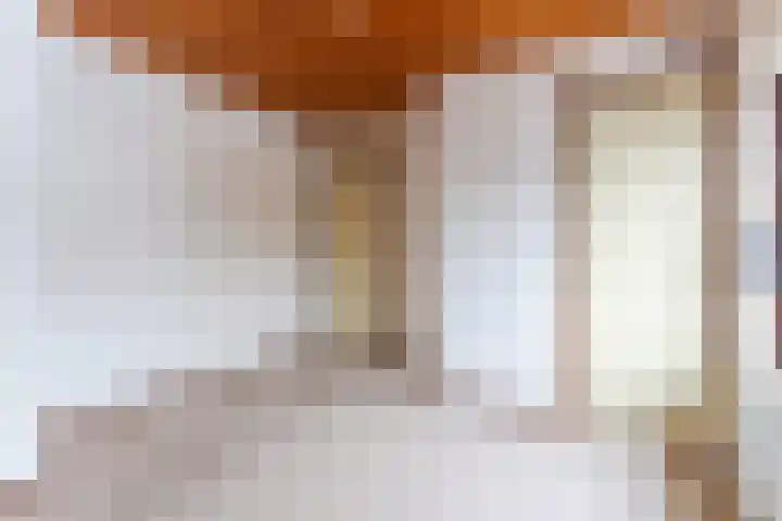 Wilhelminalaan 40 Vessem thumbnail 19