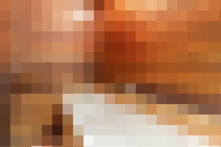 Wilhelminalaan 40 Vessem thumbnail 33