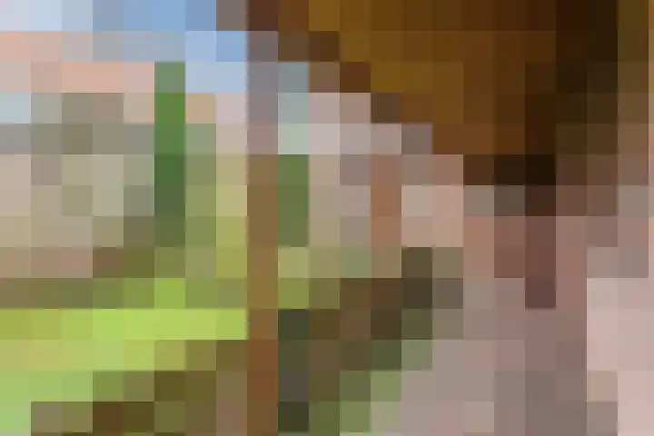 Wilhelminalaan 40 Vessem thumbnail 39