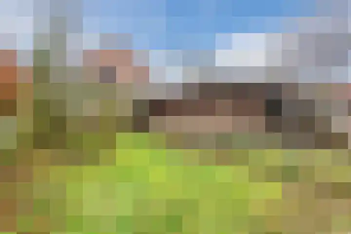 Wilhelminalaan 40 Vessem thumbnail 4