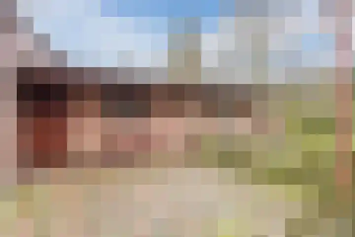 Wilhelminalaan 40 Vessem thumbnail 40