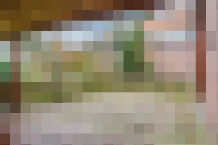 Wilhelminalaan 40 Vessem thumbnail 41