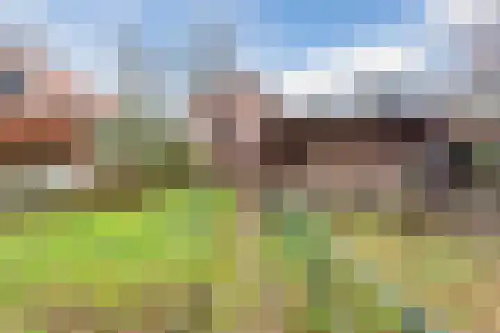 Wilhelminalaan 40 Vessem thumbnail 42