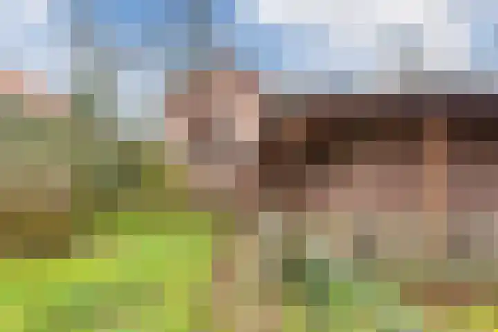 Wilhelminalaan 40 Vessem thumbnail 43