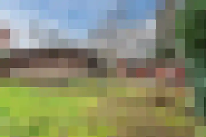 Wilhelminalaan 40 Vessem thumbnail 44