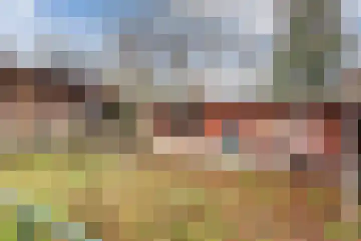 Wilhelminalaan 40 Vessem thumbnail 46