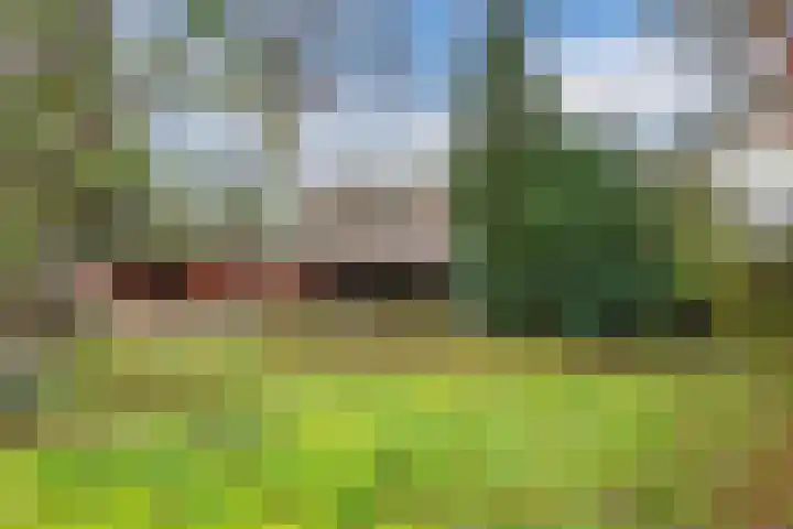 Wilhelminalaan 40 Vessem thumbnail 47