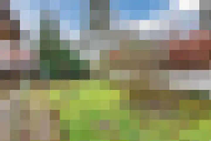 Wilhelminalaan 40 Vessem thumbnail 48