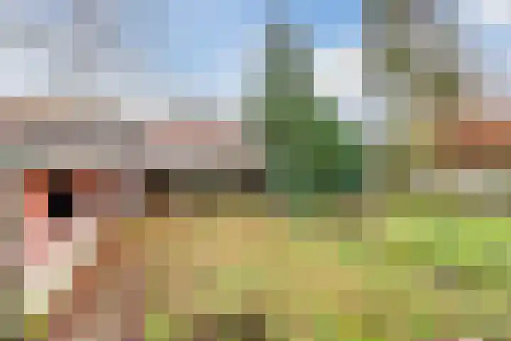 Wilhelminalaan 40 Vessem thumbnail 49