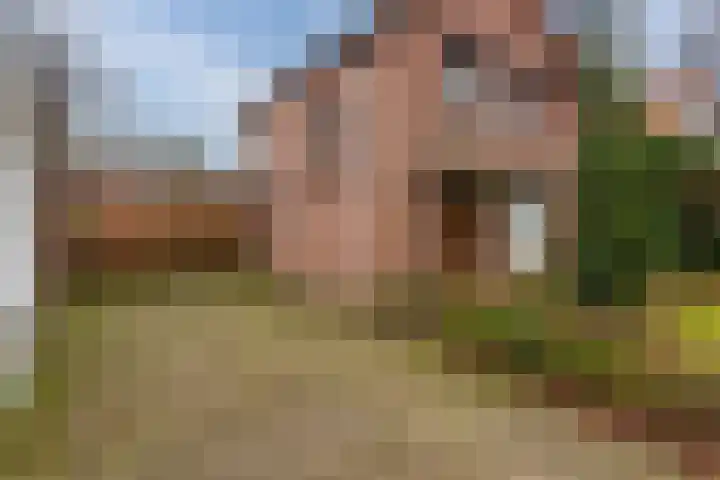 Wilhelminalaan 40 Vessem thumbnail 5