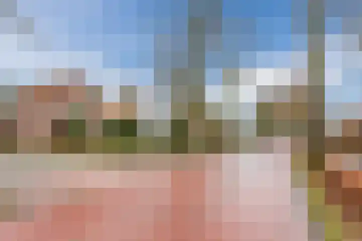 Wilhelminalaan 40 Vessem thumbnail 53