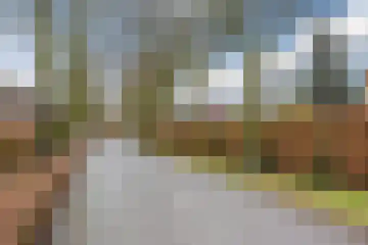 Wilhelminalaan 40 Vessem thumbnail 54