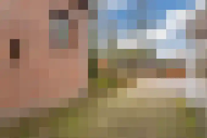 Wilhelminalaan 40 Vessem thumbnail 6