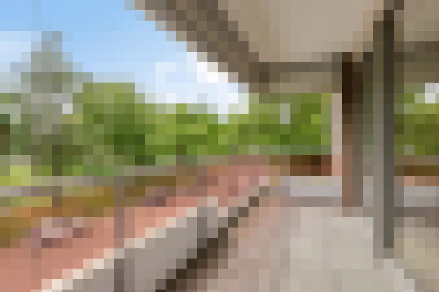 Wilhelminalaan 41 Helmond thumbnail 39