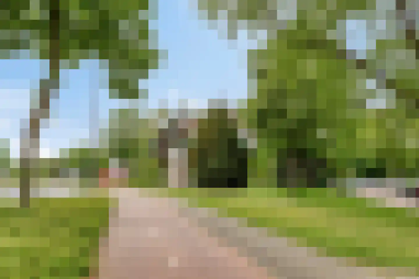 Wilhelminalaan 41 Helmond thumbnail 53