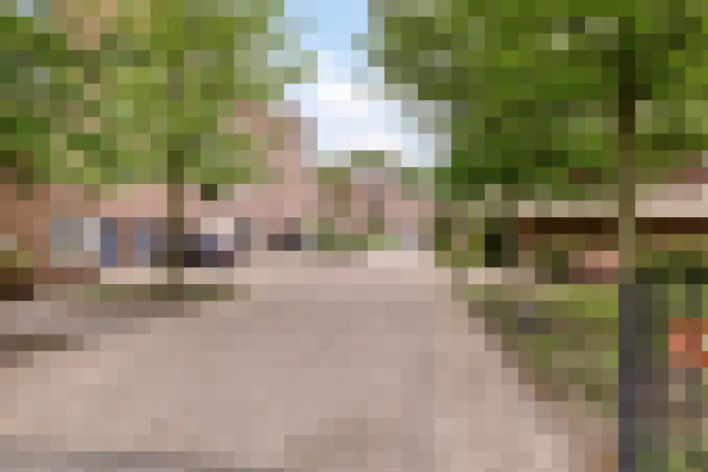 Wilhelminalaan 41 Helmond thumbnail 8