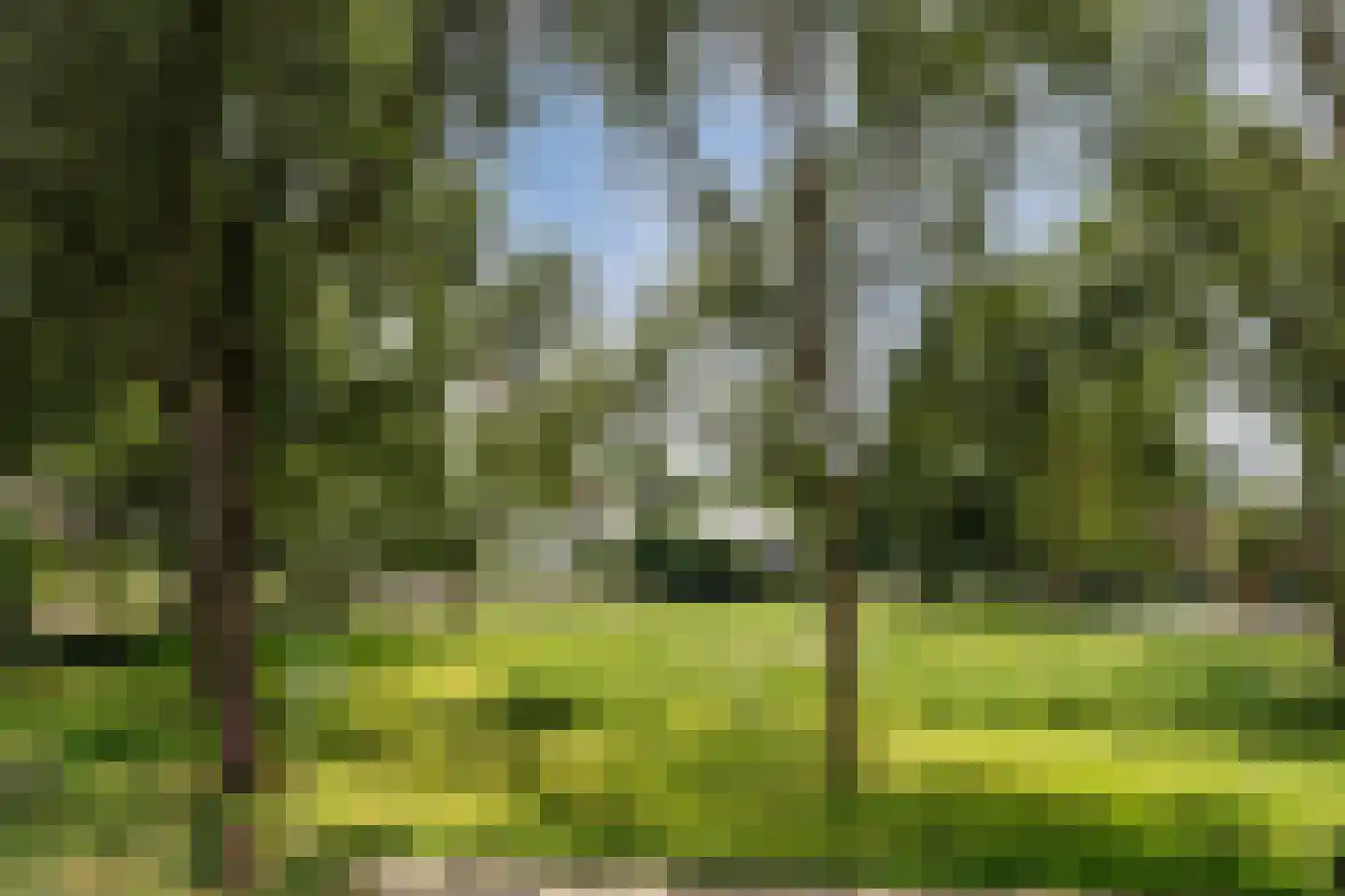 Wilhelminalaan 42 Beuningen Gld thumbnail 38
