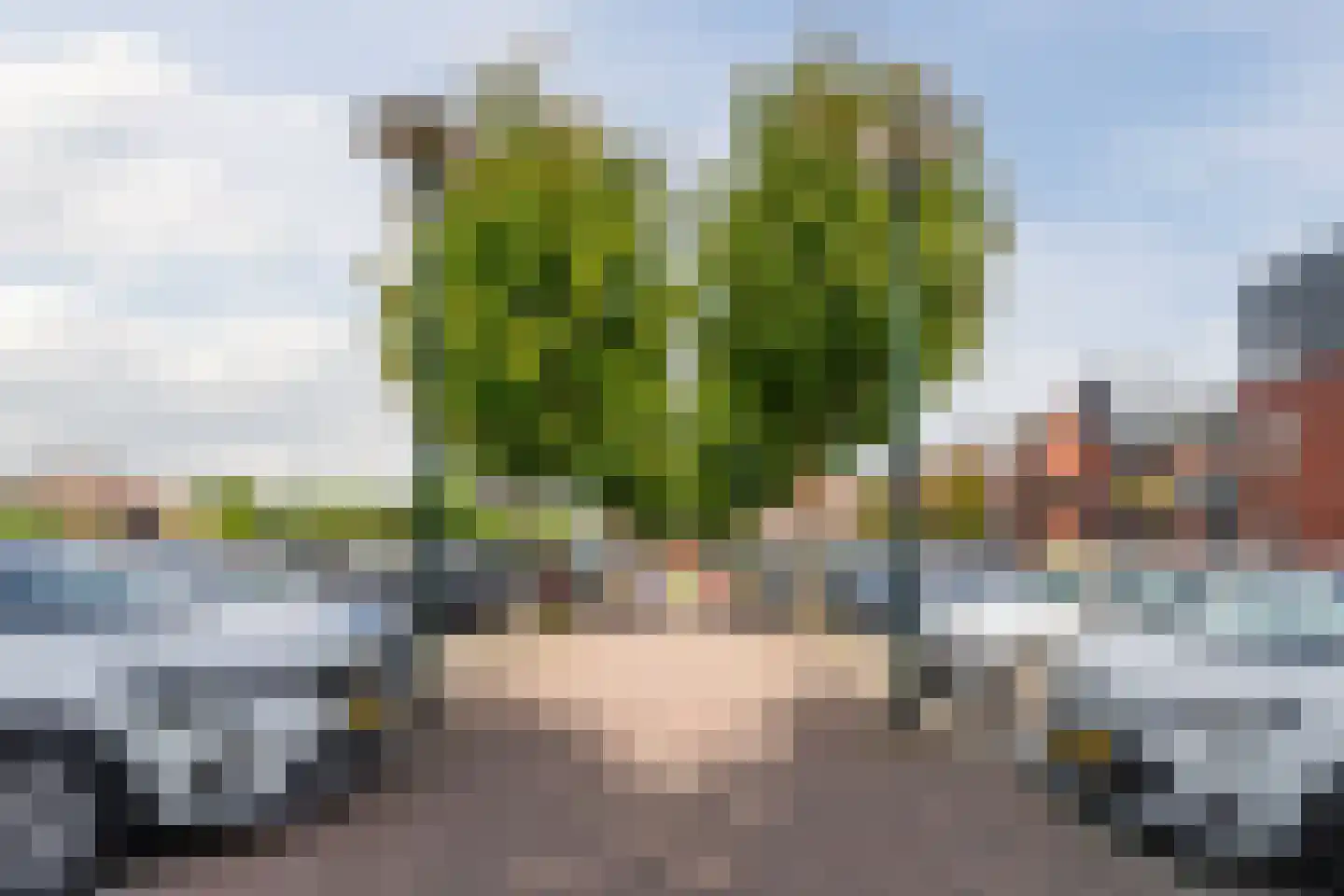 Wilhelminalaan 42 Beuningen Gld thumbnail 43