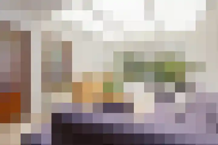 Wilhelminalaan 42 Susteren thumbnail 16