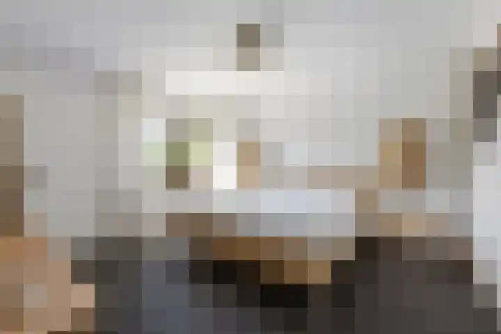 Wilhelminalaan 42 Susteren thumbnail 27