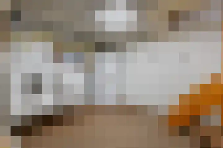 Wilhelminalaan 42 Susteren thumbnail 37