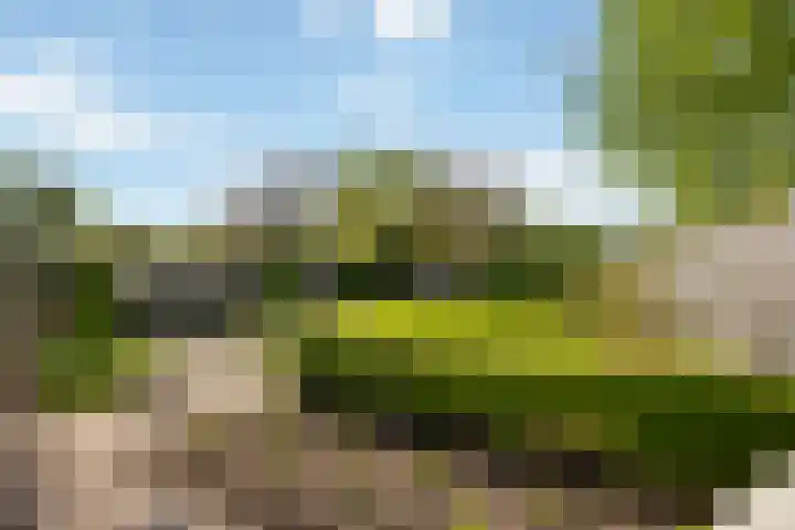 Wilhelminalaan 42 Susteren thumbnail 41