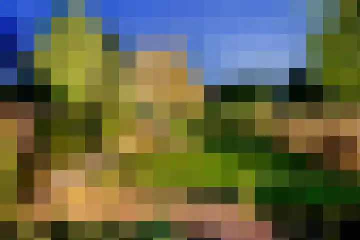 Wilhelminalaan 42 Susteren thumbnail 42
