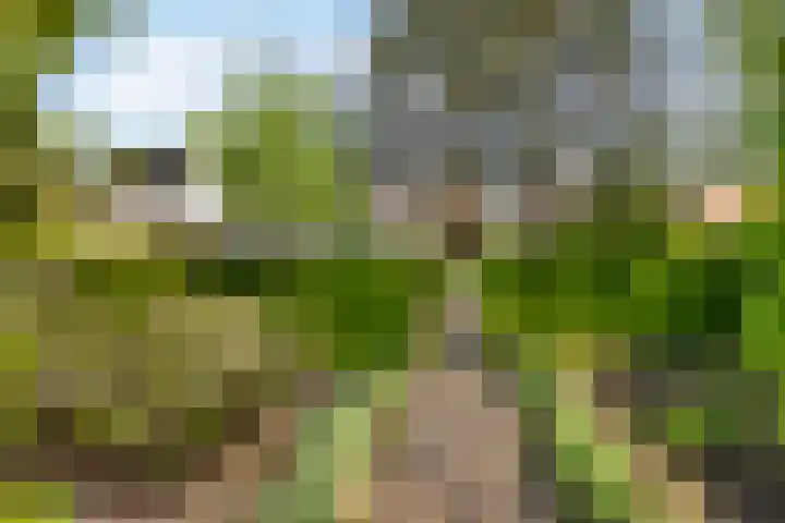 Wilhelminalaan 42 Susteren thumbnail 47
