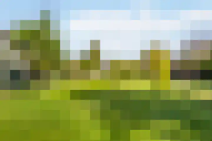 Wilhelminalaan 42 Susteren thumbnail 50