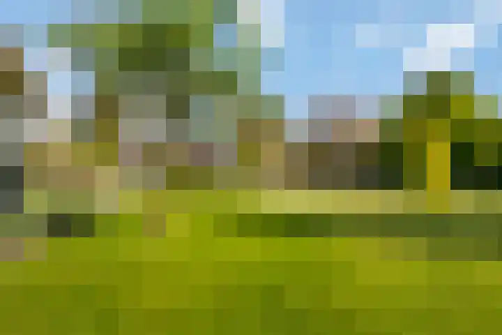 Wilhelminalaan 42 Susteren thumbnail 51