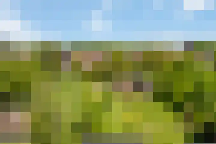 Wilhelminalaan 42 Susteren thumbnail 52