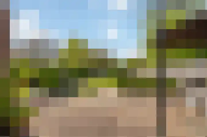 Wilhelminalaan 42 Susteren thumbnail 60