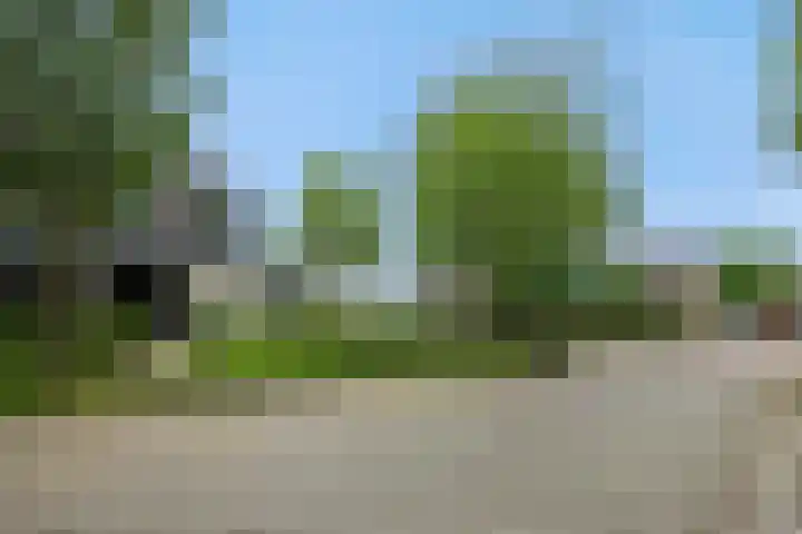 Wilhelminalaan 47 Heesch thumbnail 27