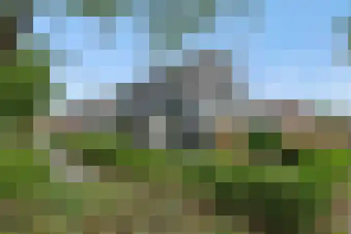 Wilhelminalaan 47 Heesch thumbnail 30