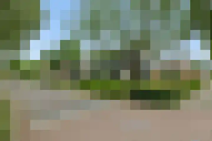 Wilhelminalaan 47 Heesch thumbnail 32