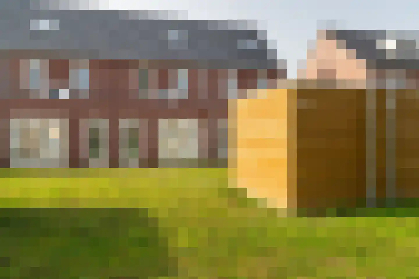 Wilhelminalaan 48 Brakel thumbnail 30