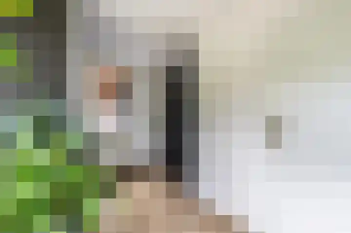 Wilhelminalaan 5 a Reuver thumbnail 14