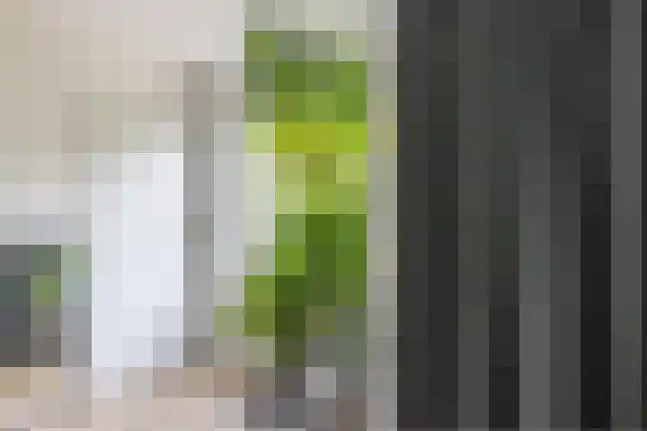 Wilhelminalaan 5 a Reuver thumbnail 15