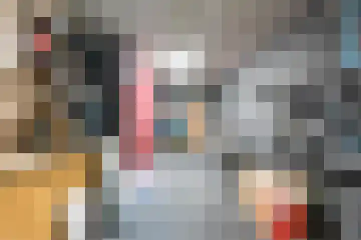 Wilhelminalaan 5 a Reuver thumbnail 37