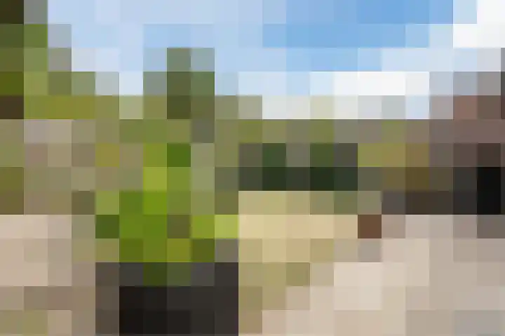 Wilhelminalaan 5 a Reuver thumbnail 39
