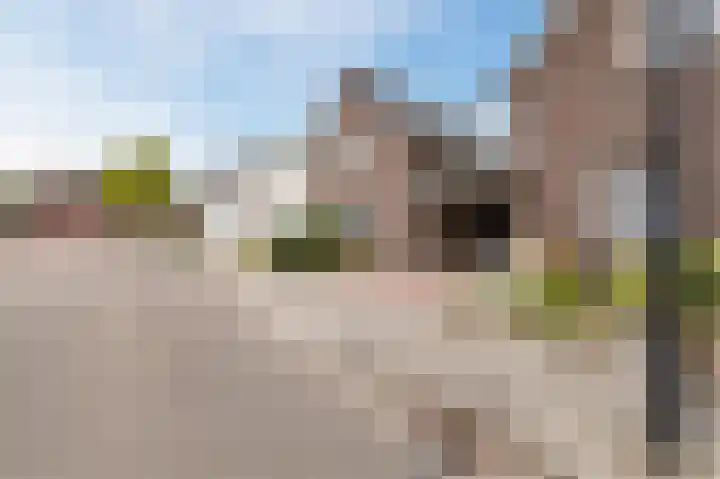 Wilhelminalaan 5 a Reuver thumbnail 4