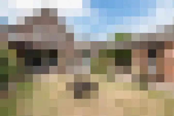 Wilhelminalaan 5 a Reuver thumbnail 40