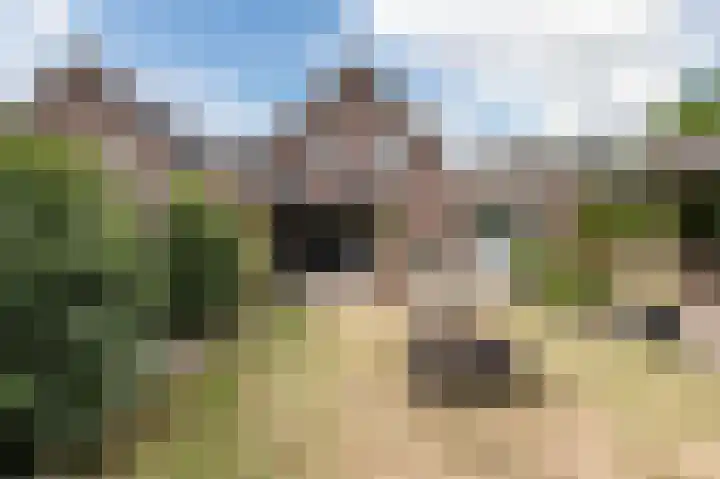 Wilhelminalaan 5 a Reuver thumbnail 41